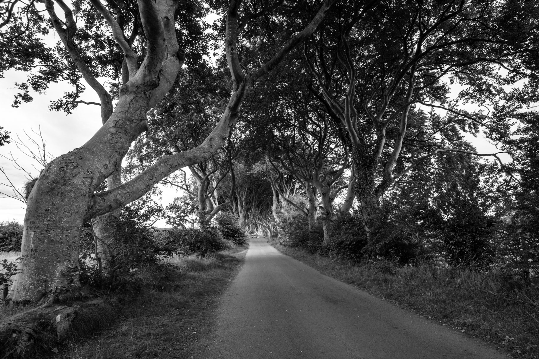 _Ireland-2024-21-(1)